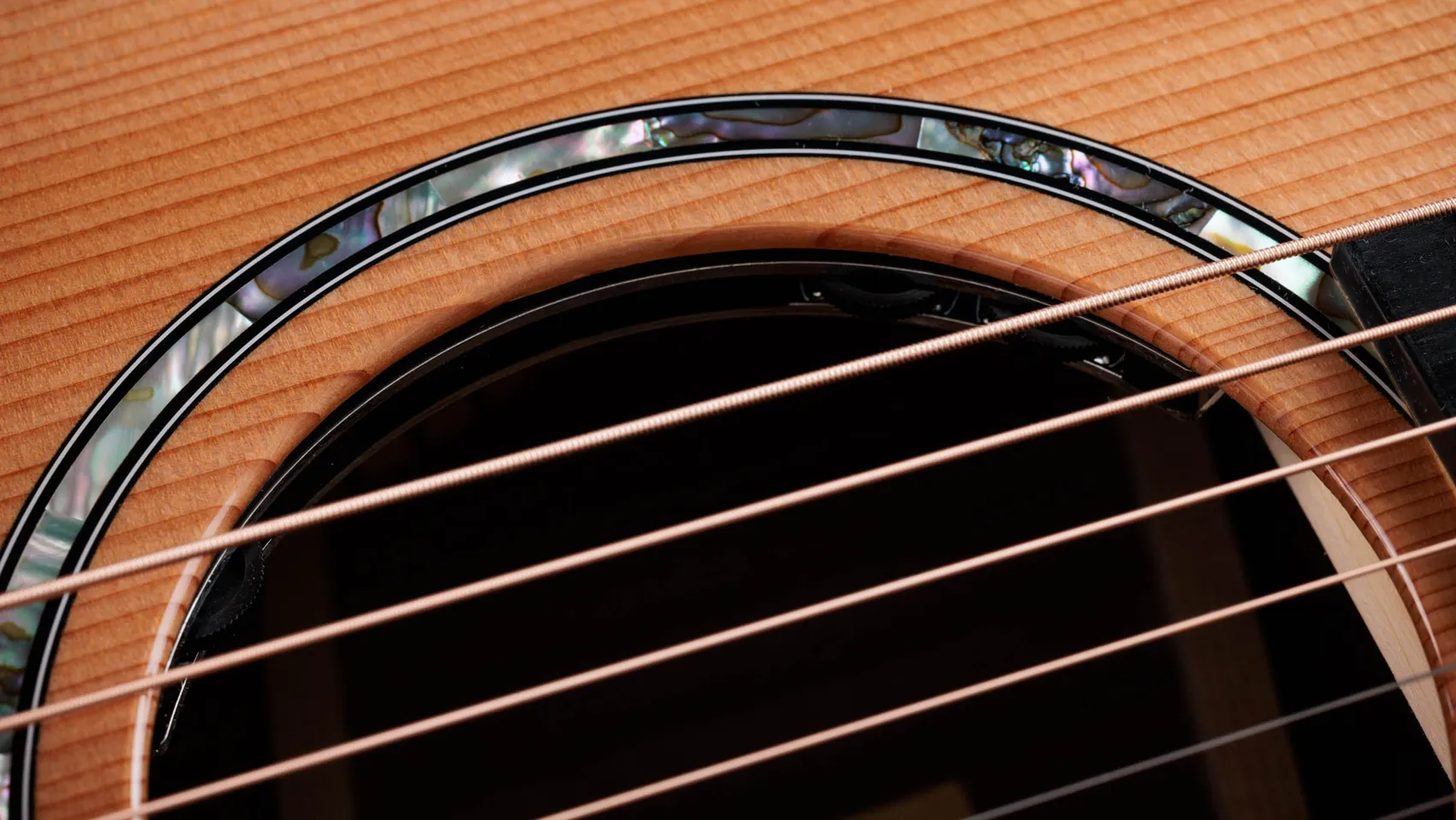 次世代712ceIndian Rosewood・アコースティック・エレクトリックギター